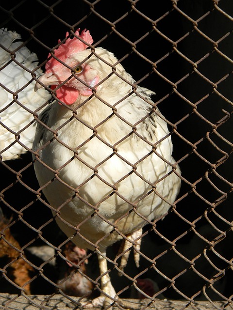 如今在上海 如今在上海