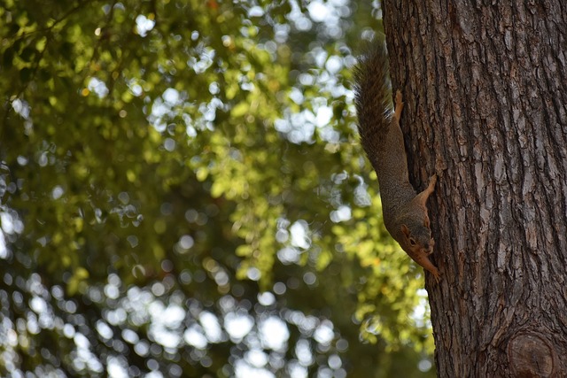 丝带来希望 丝带来希望